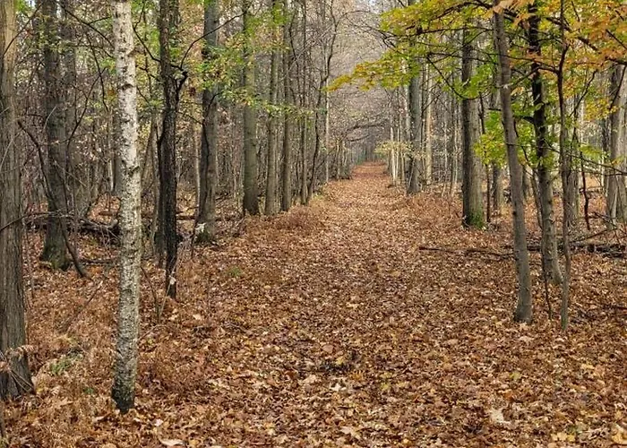 75 Acre Home With Trails & Outdoor Fun Tons Of Wildlife